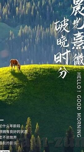 世界杯 德国 分析-德国足球在世界杯舞台上的辉煌与传承